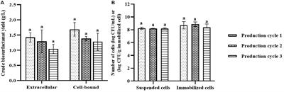 Reuse of Immobilized Weissella cibaria PN3 for Long-Term Production of Both Extracellular and Cell-Bound Glycolipid Biosurfactants